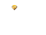 valérie palin